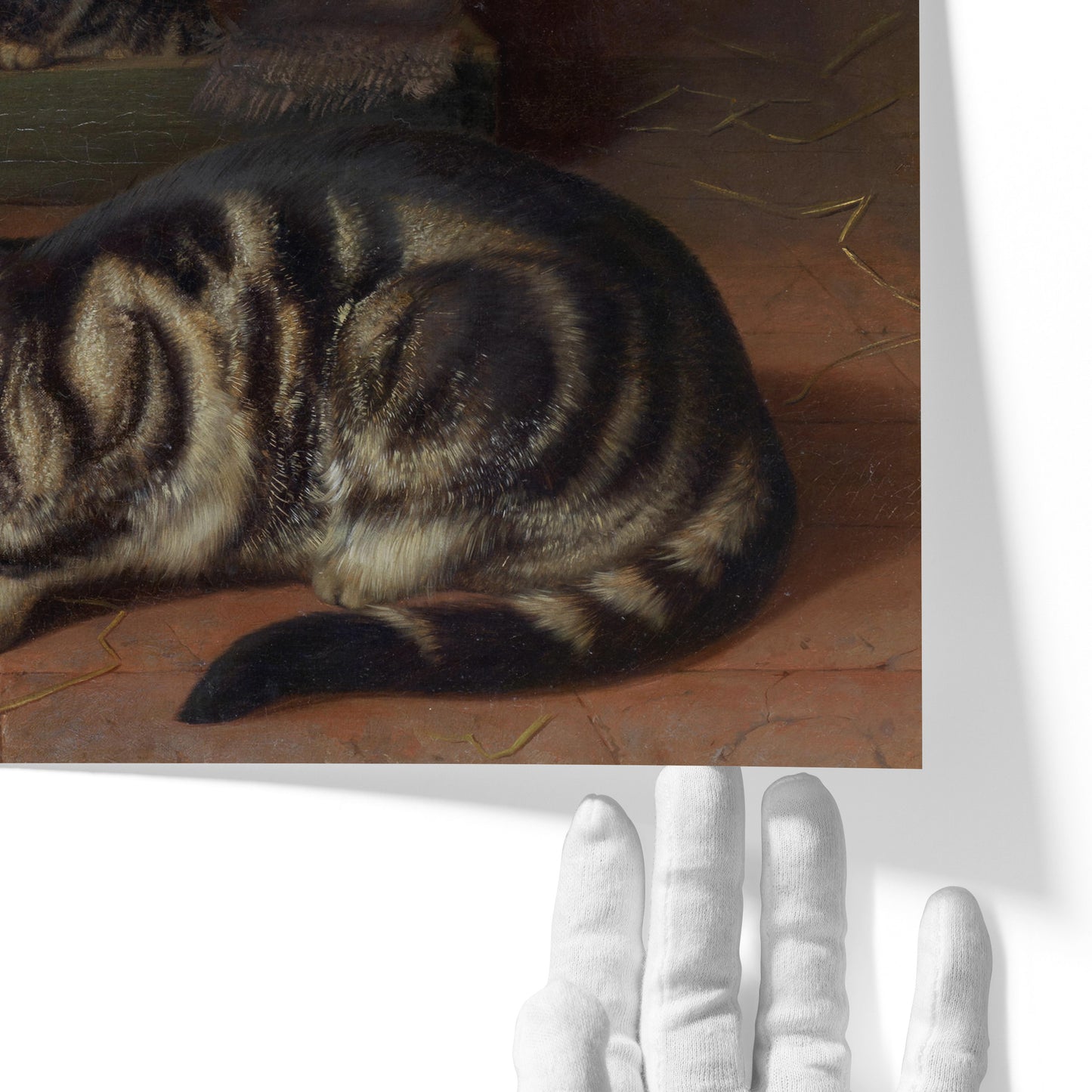 Curiosity | Horatio Henry Couldery | 1893