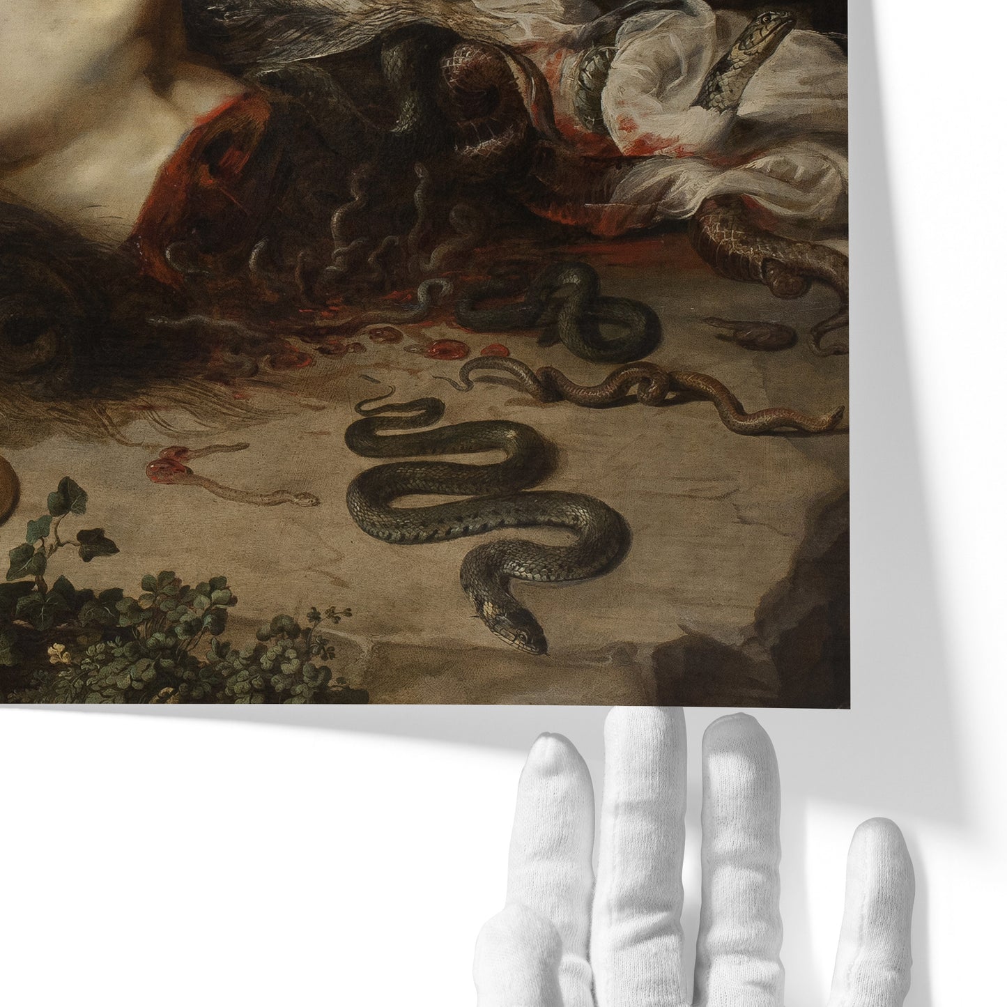 Head of Medusa | Peter Paul Rubens | 1618