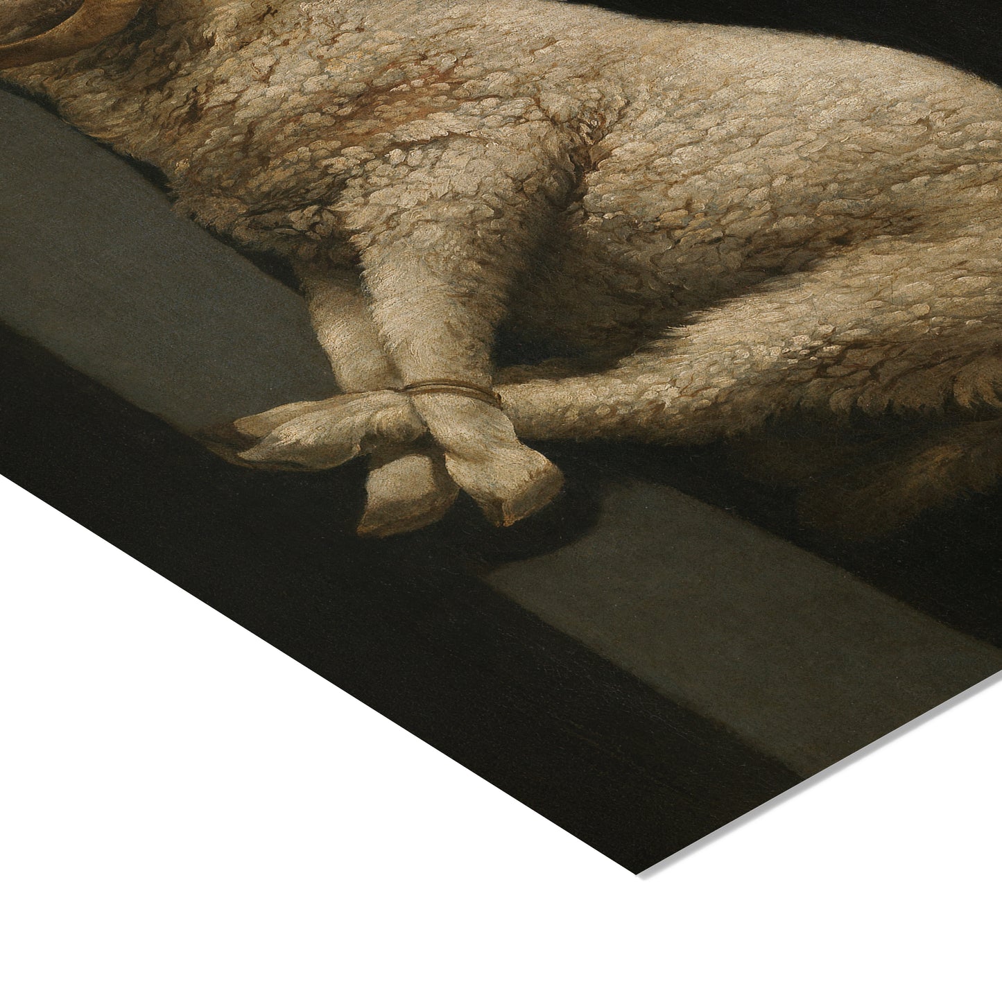 Agnus Dei | Francisco de Zurbarán | 1640