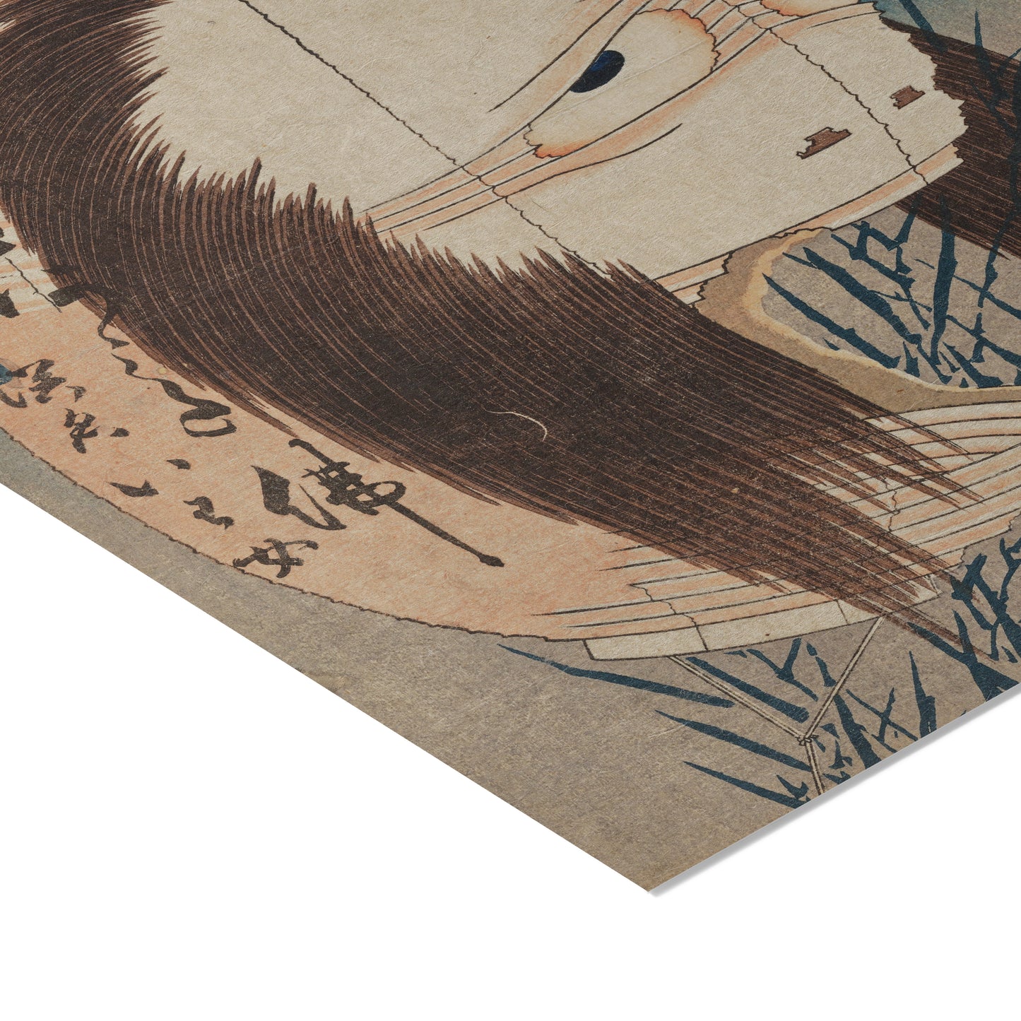 The Ghost Of Oiwa (Oiwa-san) | Katsushika Hokusai | 1832