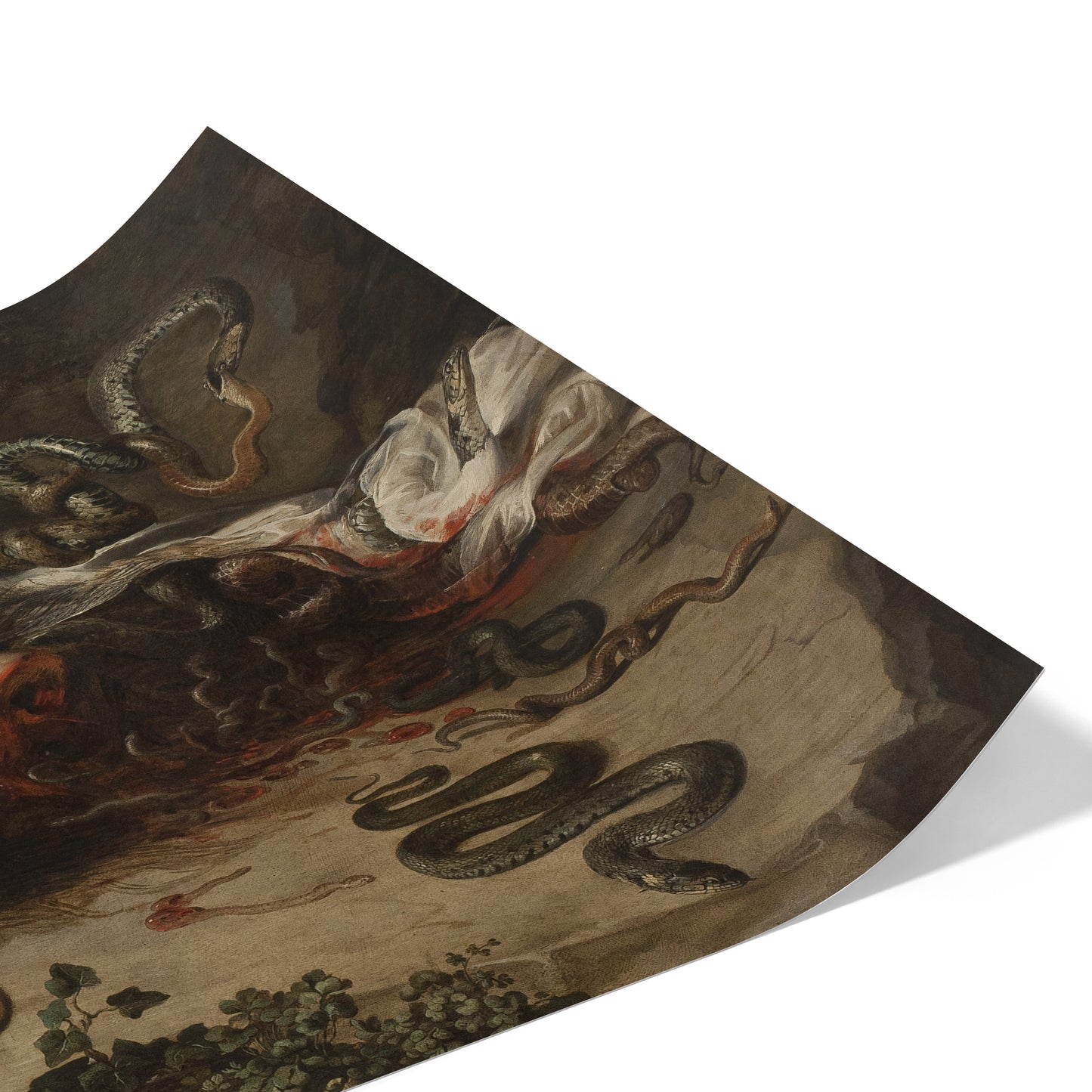 Head of Medusa | Peter Paul Rubens | 1618