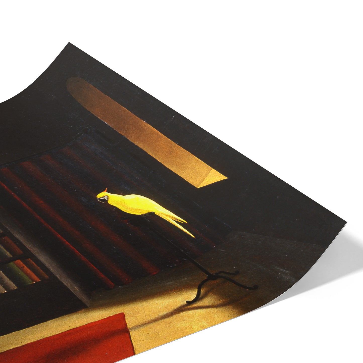 Library | Franz Sedlaceck | 1939