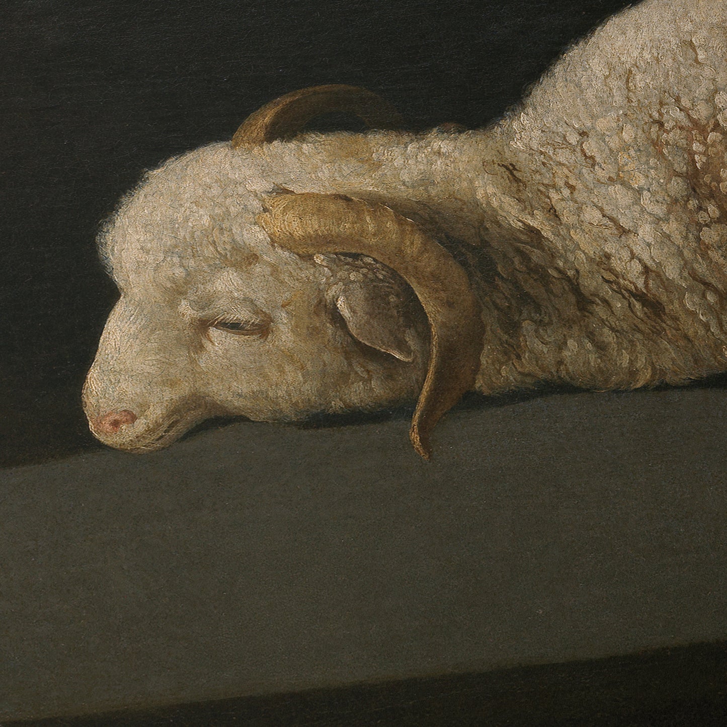 Agnus Dei | Francisco de Zurbarán | 1640