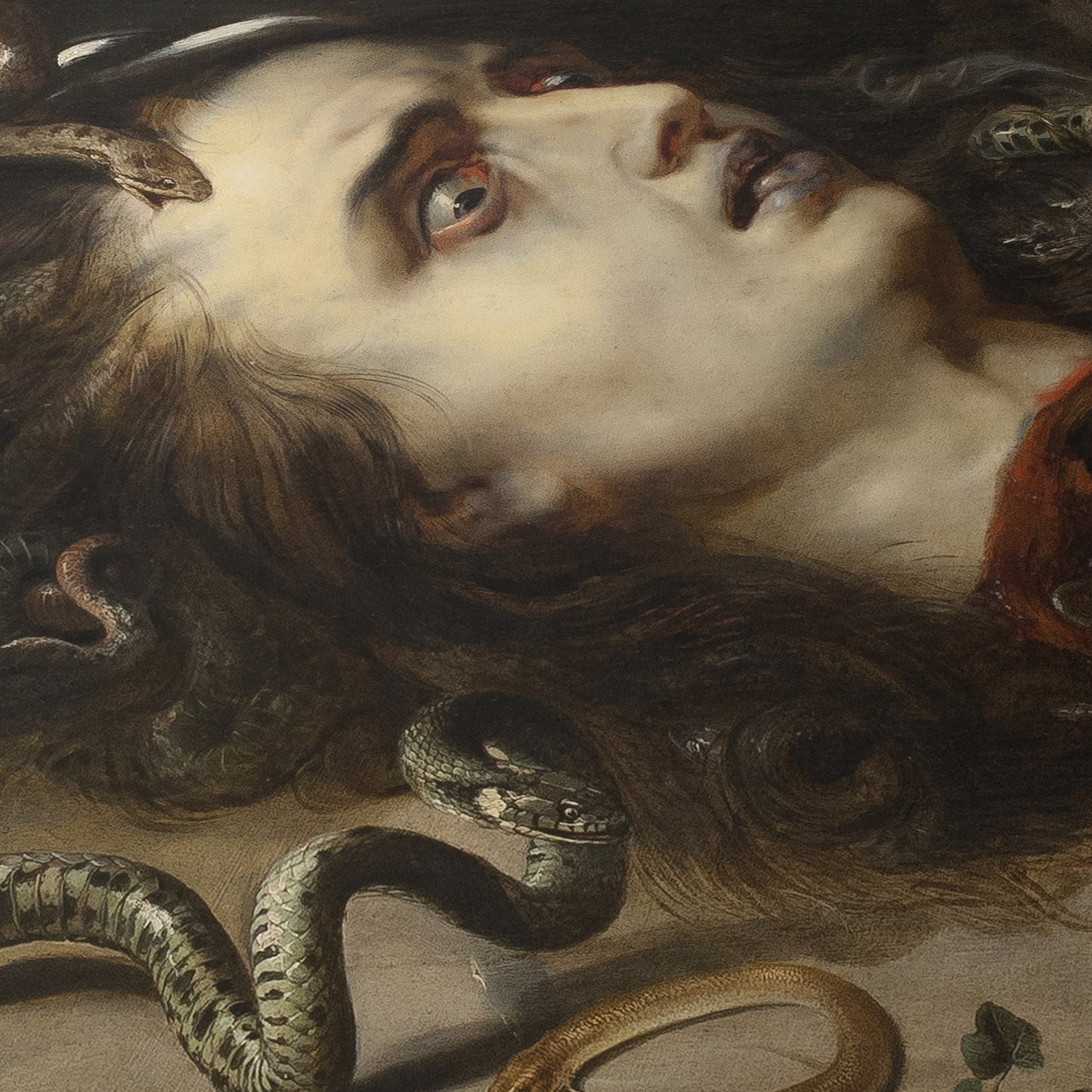 Head of Medusa | Peter Paul Rubens | 1618