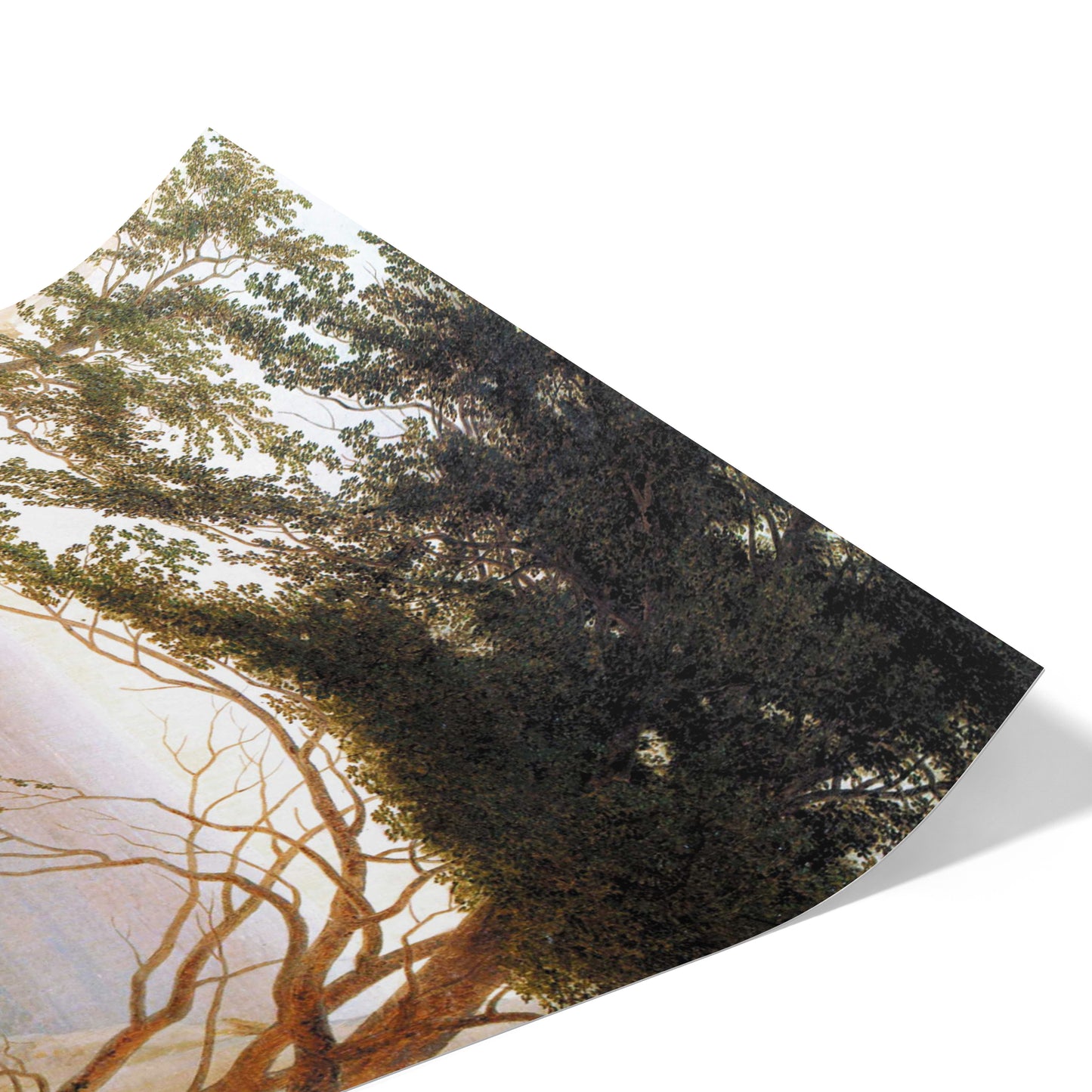 Chalk Cliffs on Rügen | Caspar David Friedrich | 1818