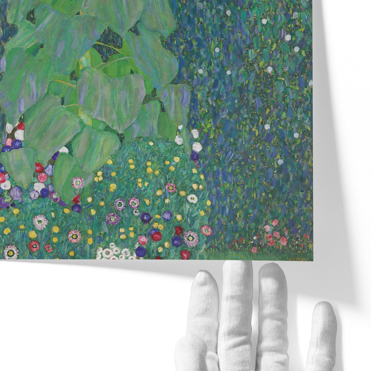 Sunflower | Gustav Klimt | 1908