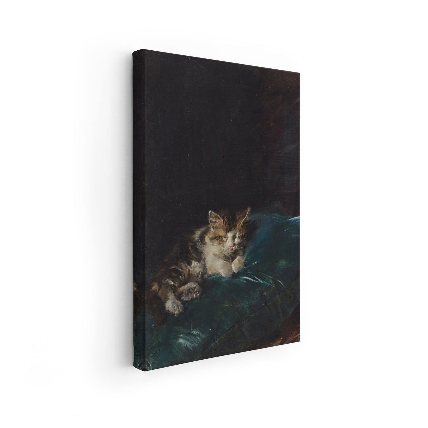 Cat Sleeping on a Cushion | Francisco Domingo Marqués | 1892