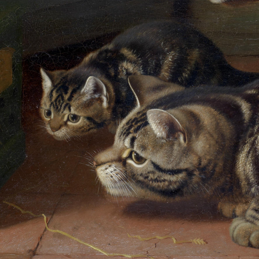 Curiosity | Horatio Henry Couldery | 1893