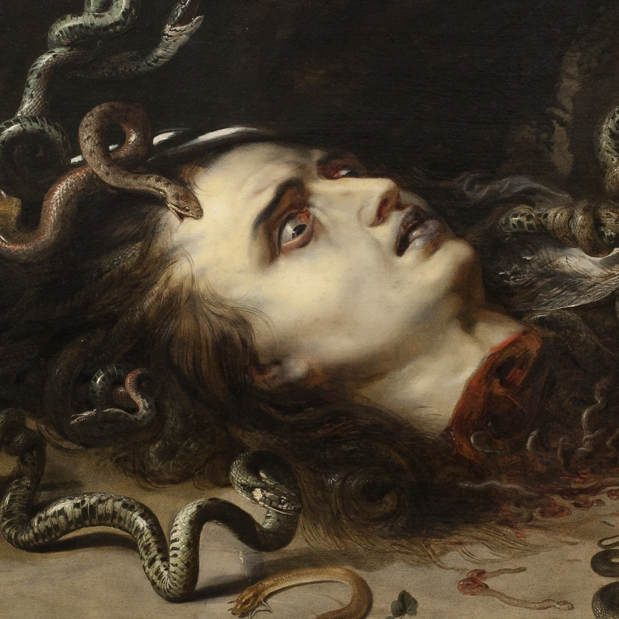 Head of Medusa | Peter Paul Rubens | 1618