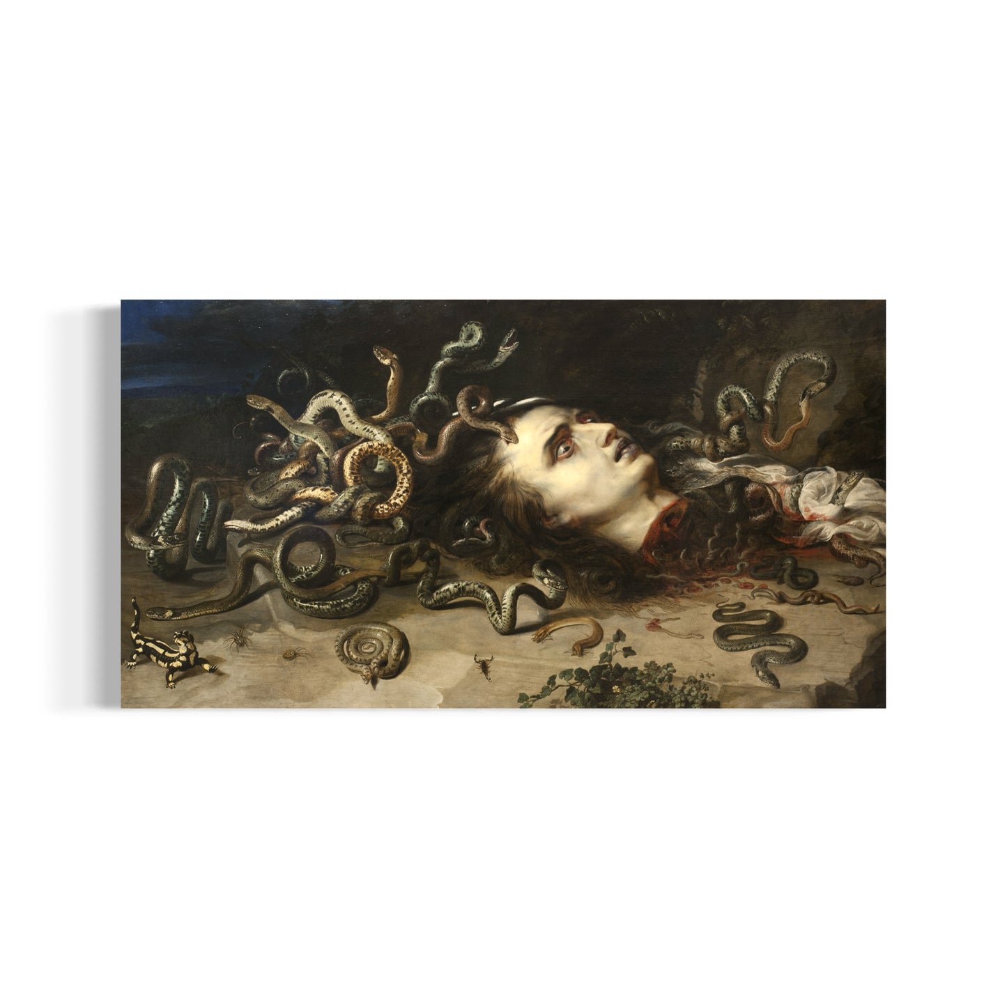 Head of Medusa | Peter Paul Rubens | 1618