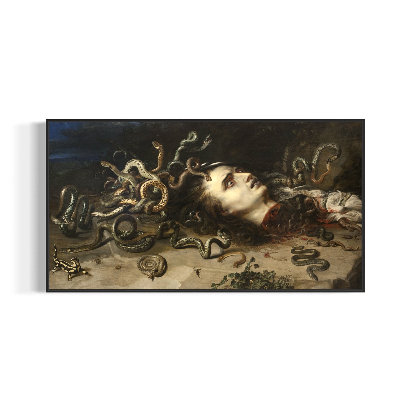 Head of Medusa | Peter Paul Rubens | 1618