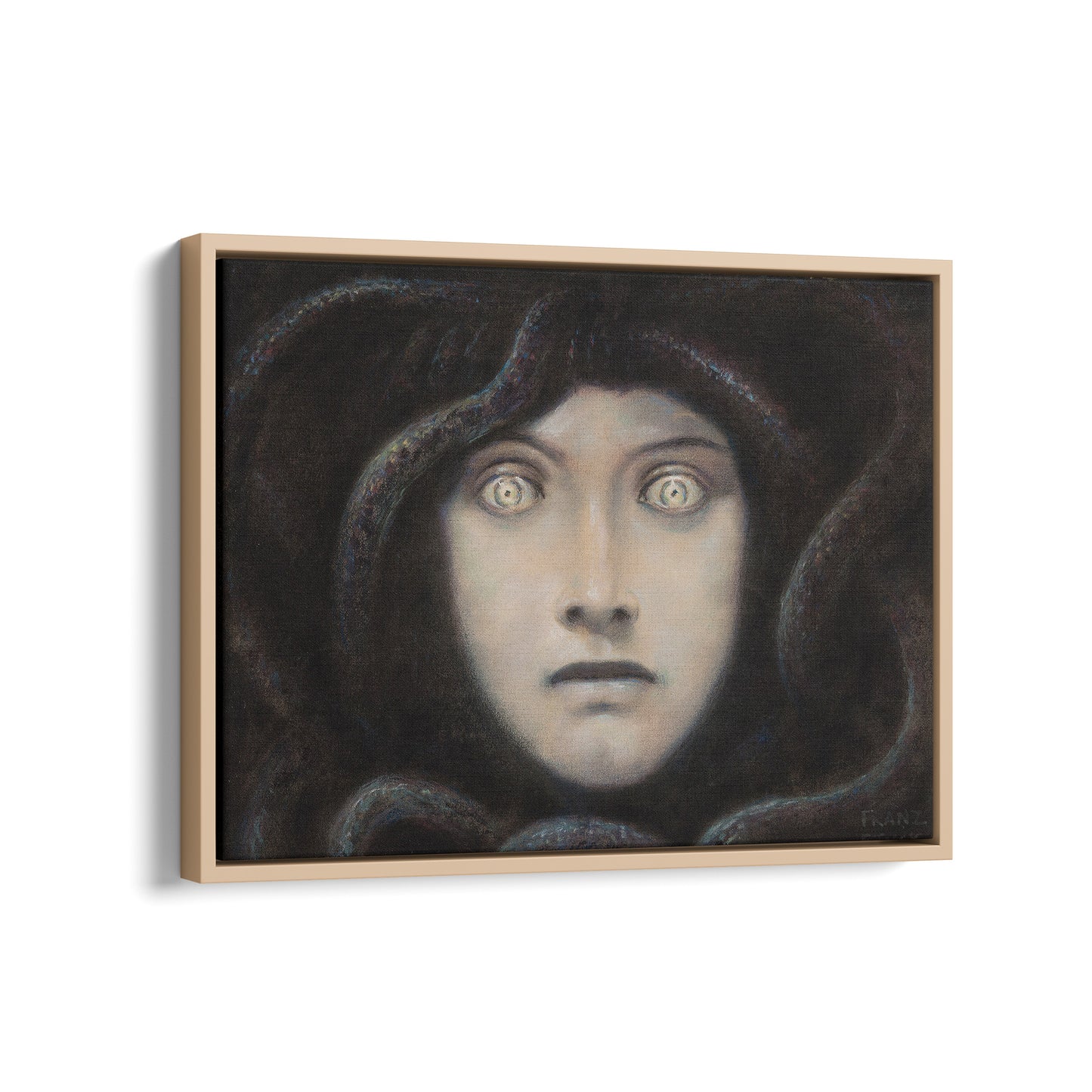Head of Medusa | Franz von Stuck | 1892