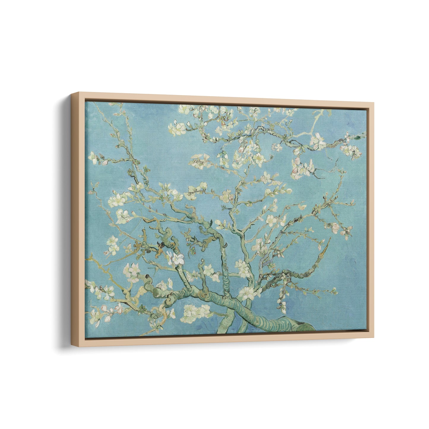 Almond Blossom | Vincent van Gogh | 1890