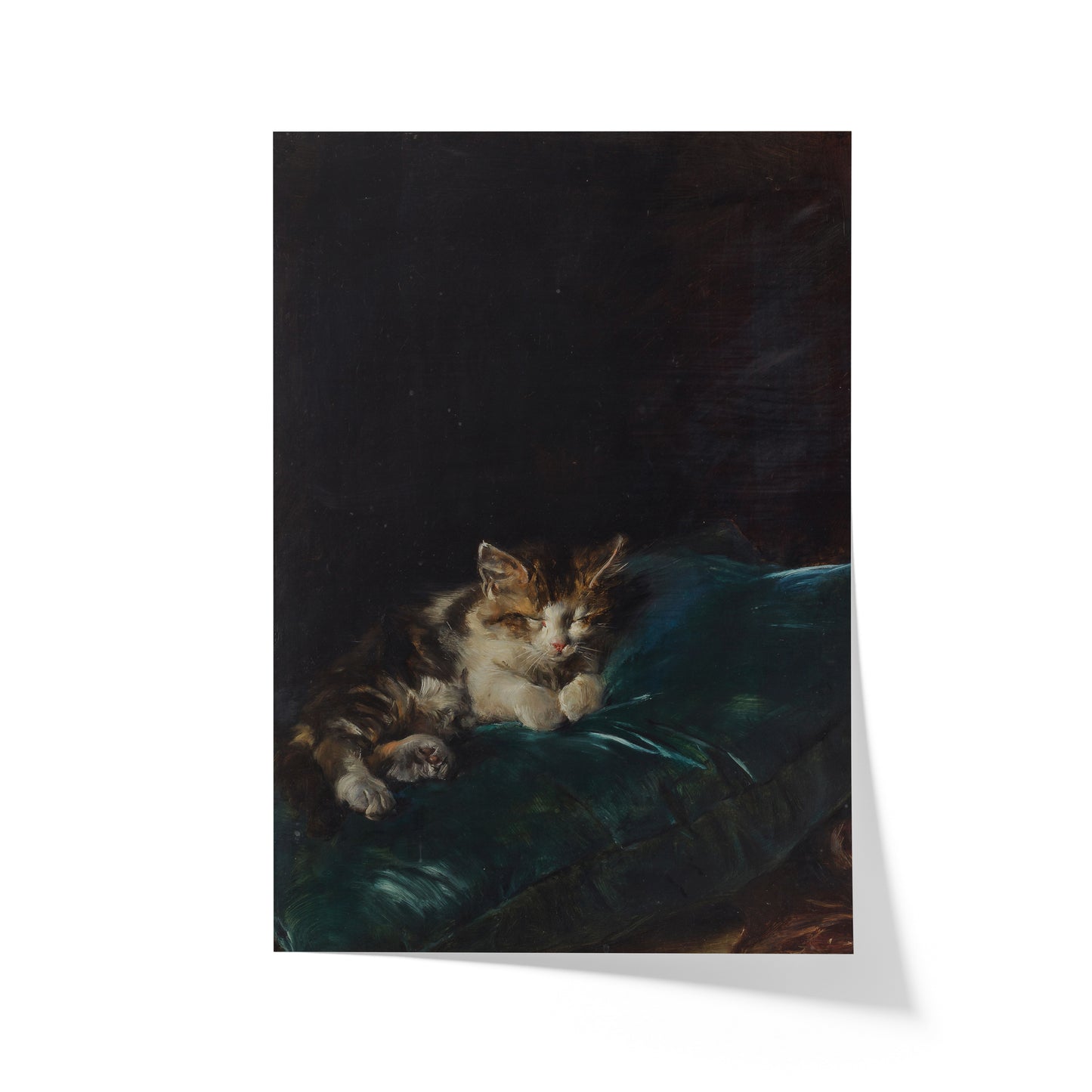 Cat Sleeping on a Cushion | Francisco Domingo Marqués | 1892