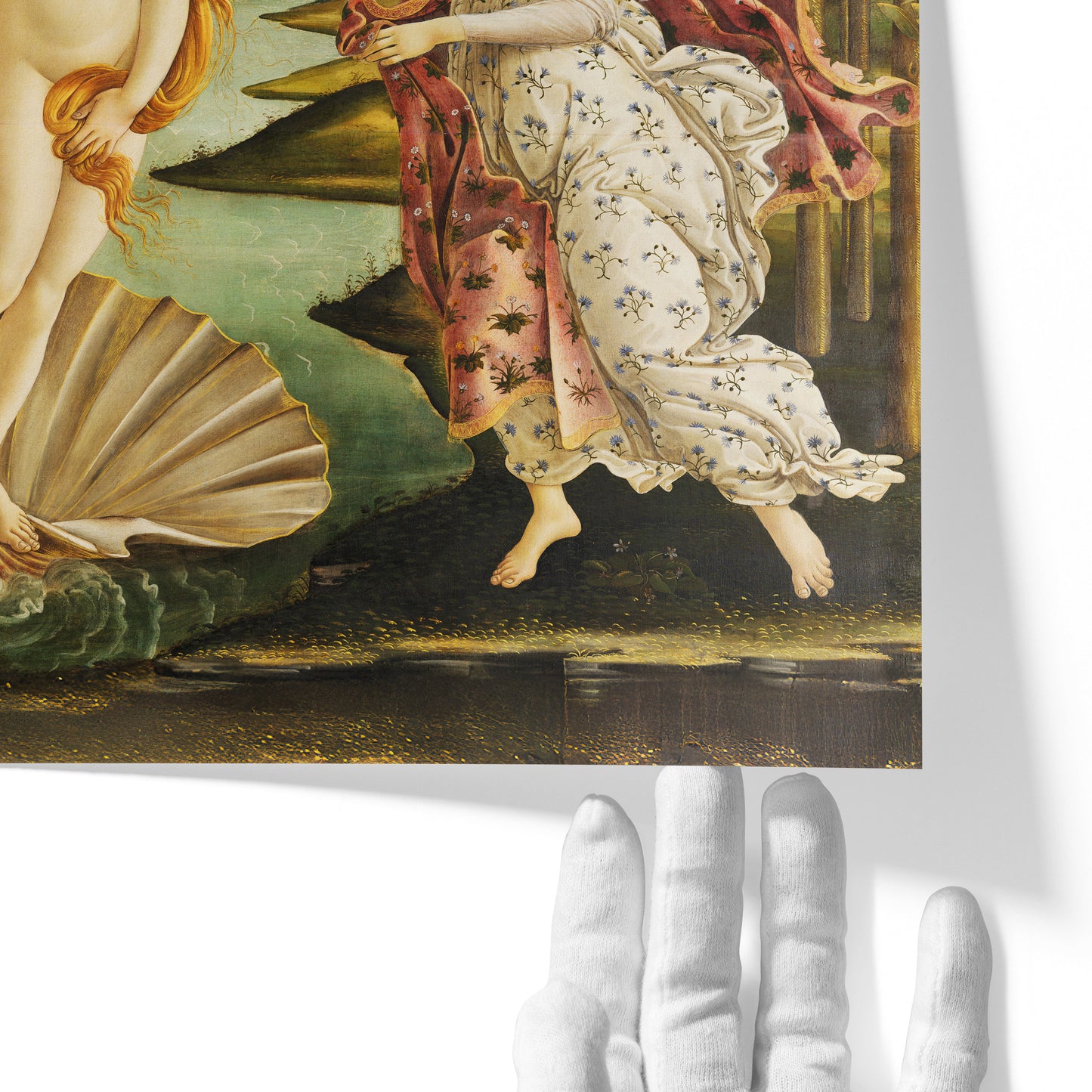 The Birth of Venus | Sandro Botticelli | 1486