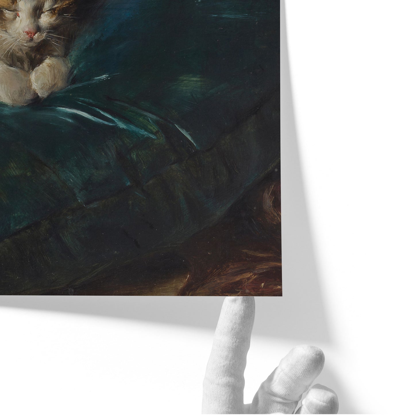 Cat Sleeping on a Cushion | Francisco Domingo Marqués | 1892