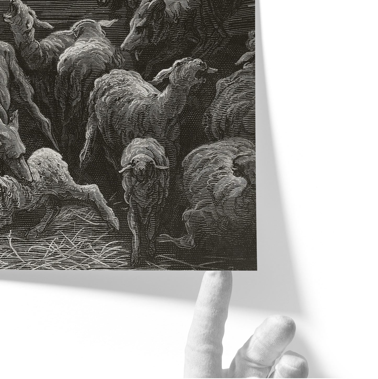 The Wolves and The Sheep | Gustave Doré | 1867