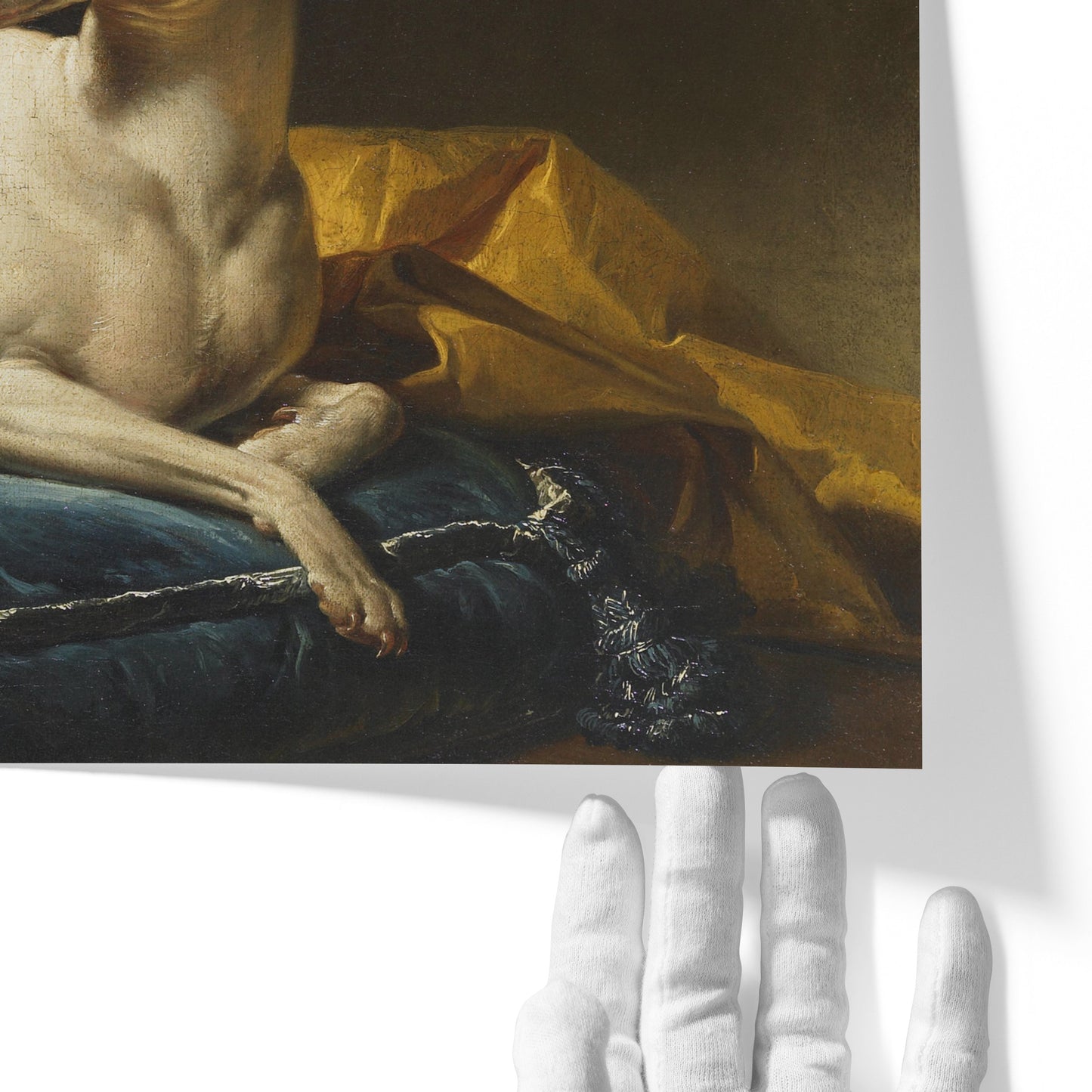 Portrait de Diane, levrette de Bergeret | François-André Vincent | 1774