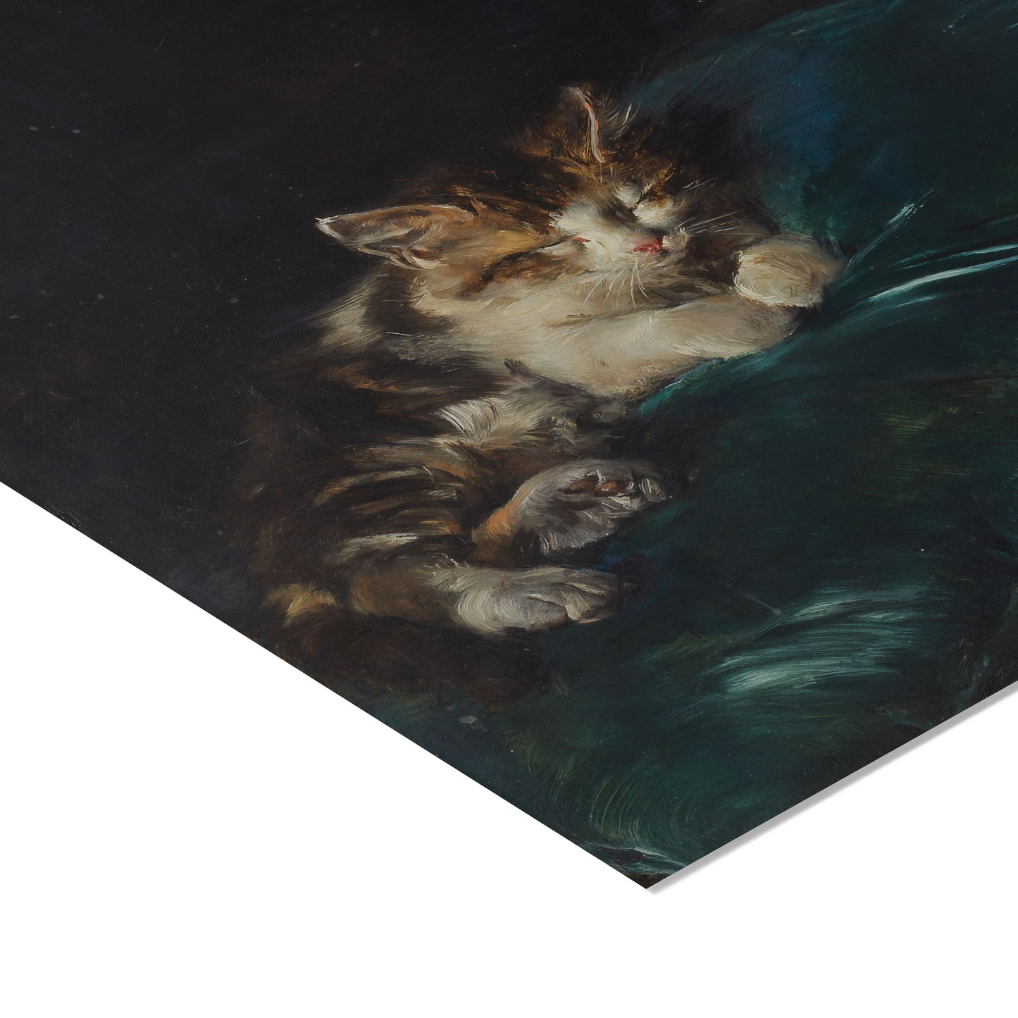 Cat Sleeping on a Cushion | Francisco Domingo Marqués | 1892