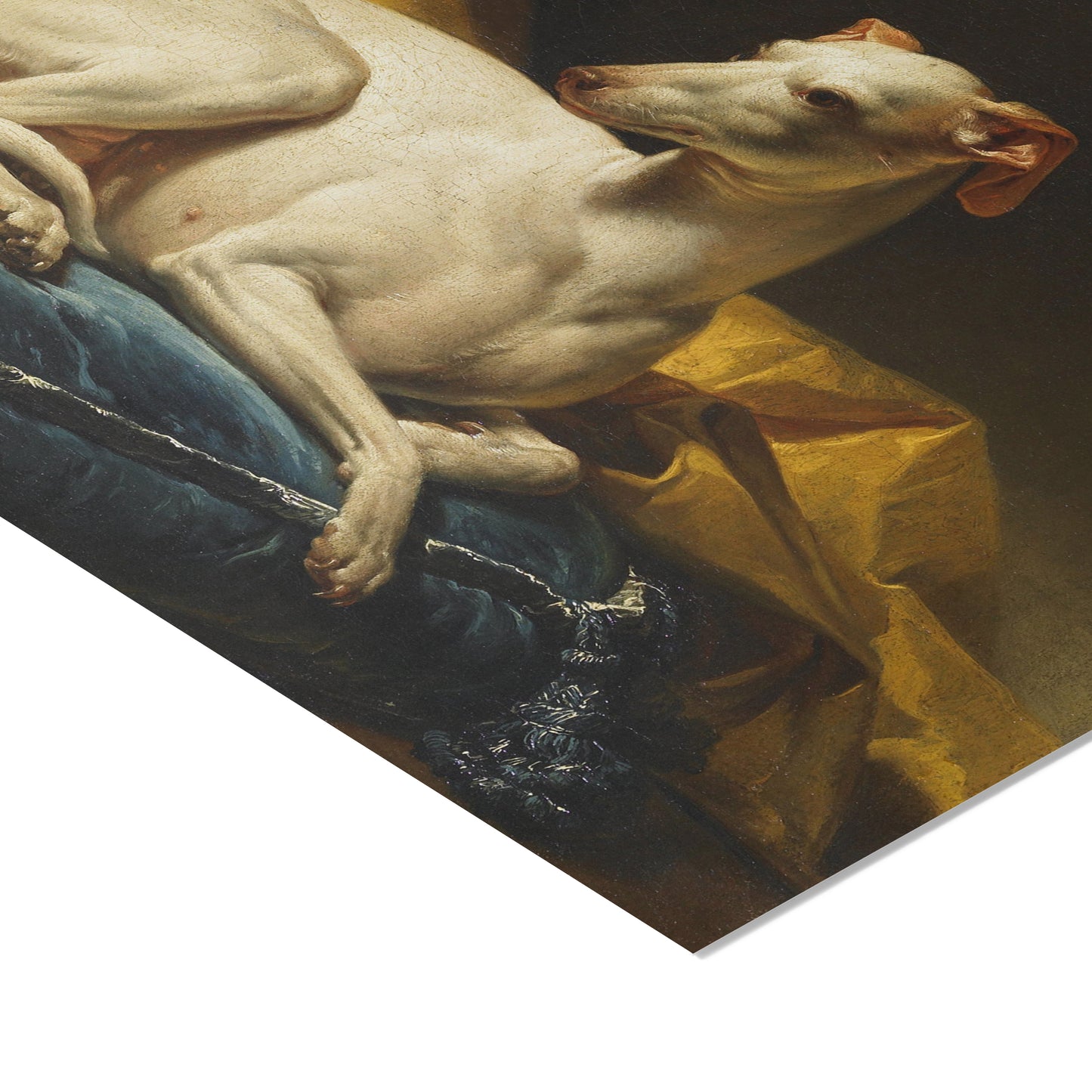 Portrait de Diane, levrette de Bergeret | François-André Vincent | 1774