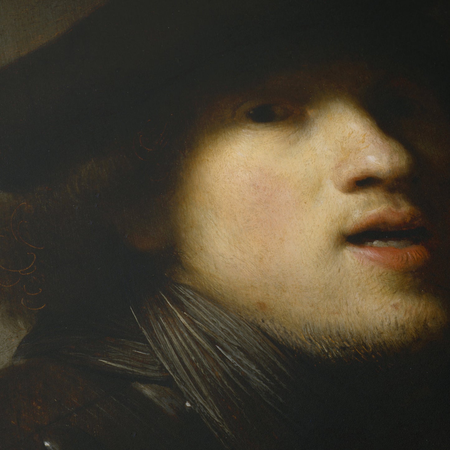 Self-Portrait | Rembrandt | 1629