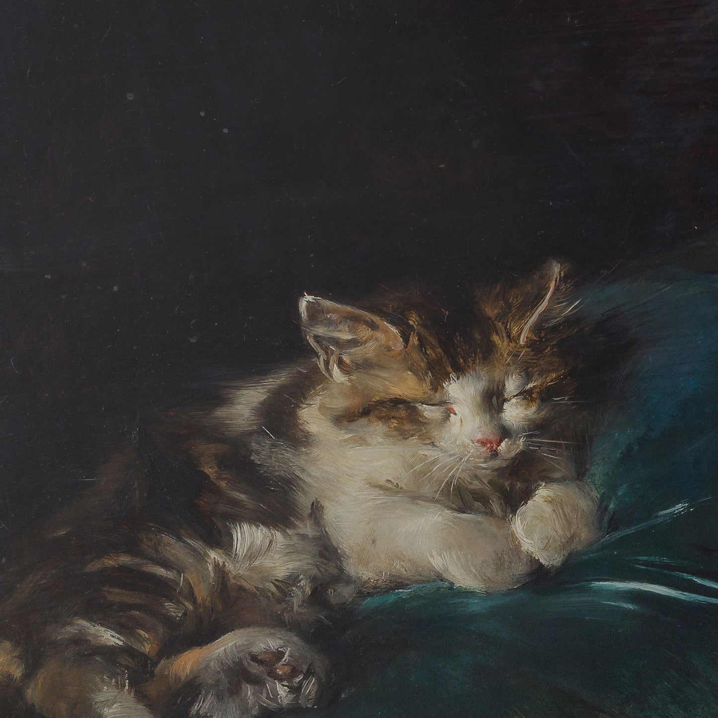 Cat Sleeping on a Cushion | Francisco Domingo Marqués | 1892
