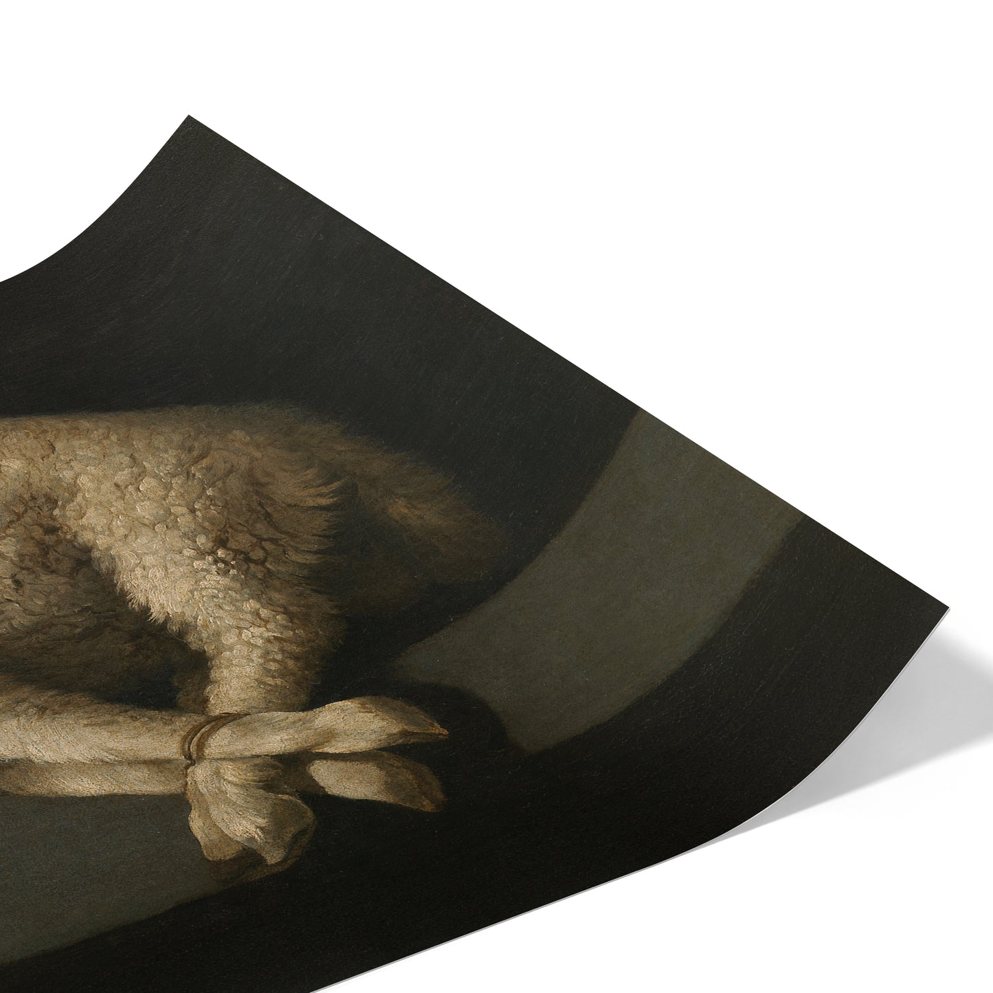 Agnus Dei | Francisco de Zurbarán | 1640