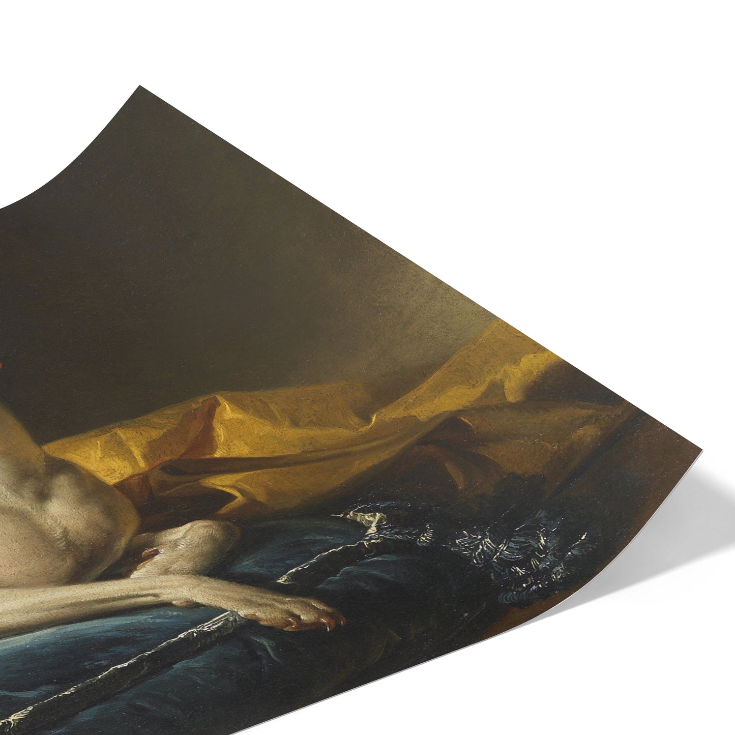 Portrait de Diane, levrette de Bergeret | François-André Vincent | 1774