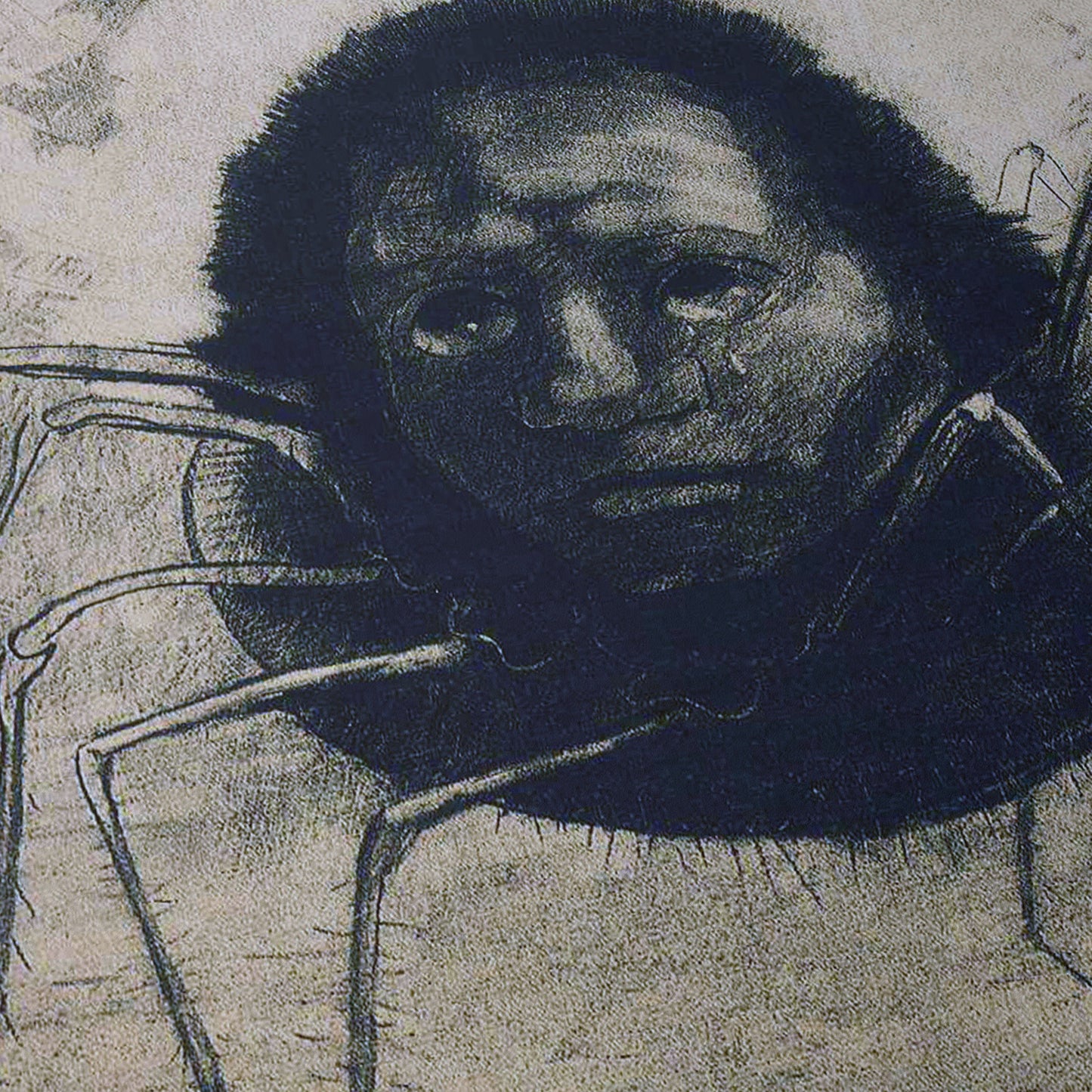 The Crying Spider | Odilon Redon | 1881