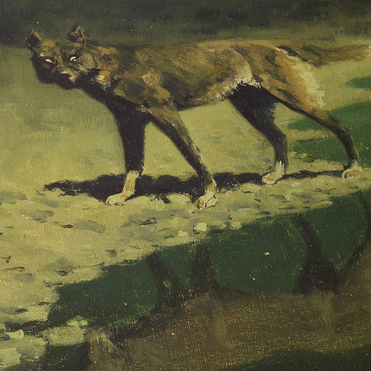 Moonlight Wolf | Frederic Remington | 1909