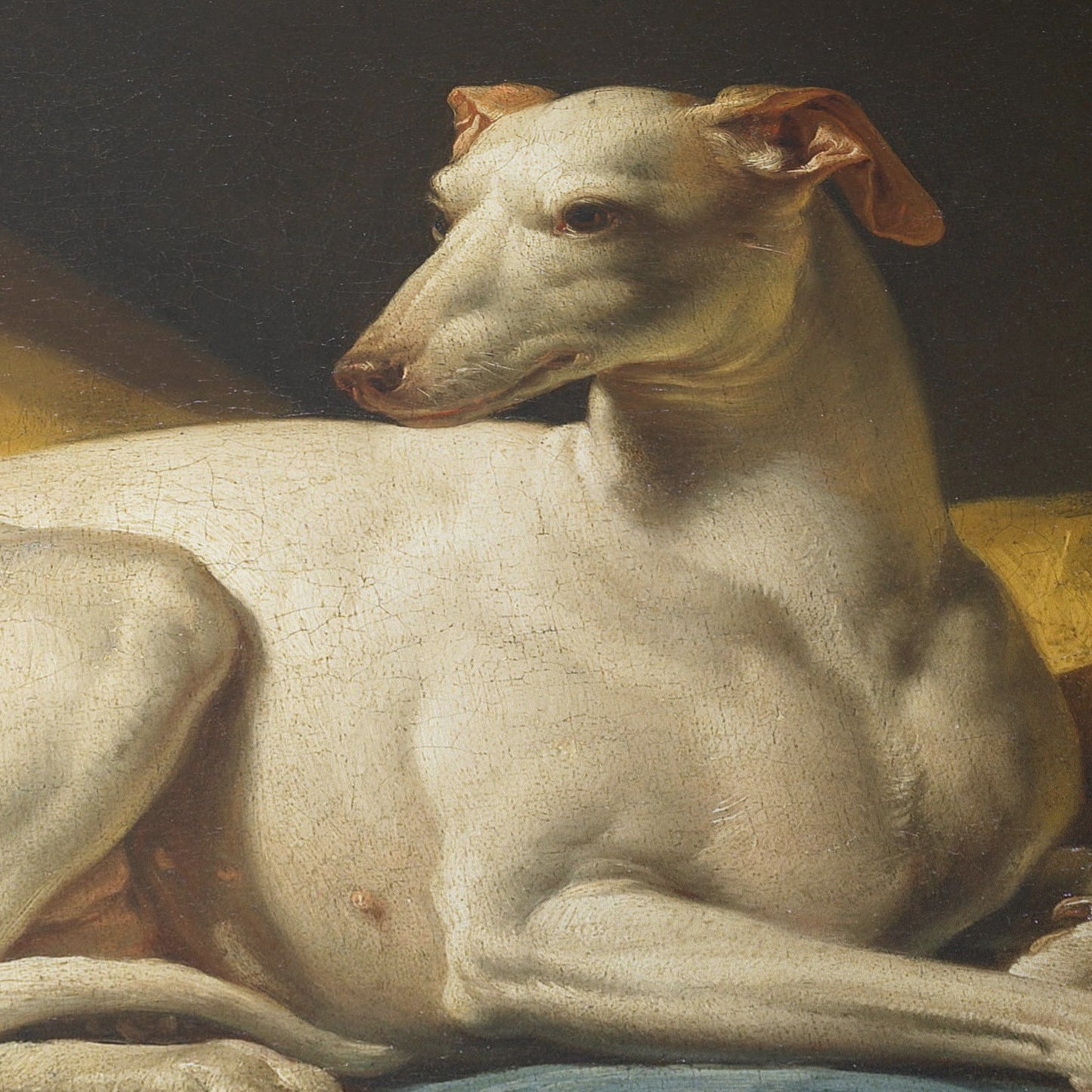 Portrait de Diane, levrette de Bergeret | François-André Vincent | 1774