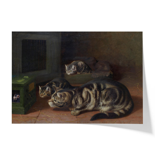 Curiosity | Horatio Henry Couldery | 1893