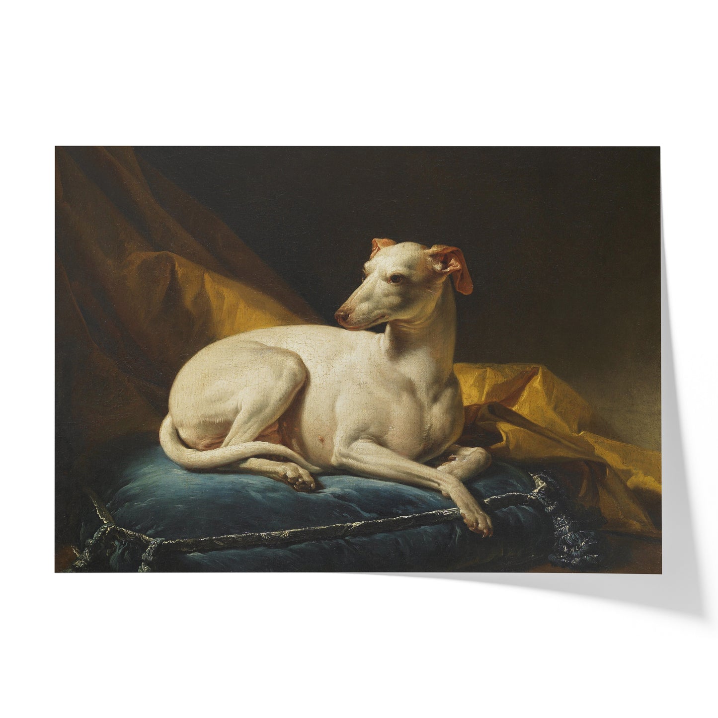 Portrait de Diane, levrette de Bergeret | François-André Vincent | 1774