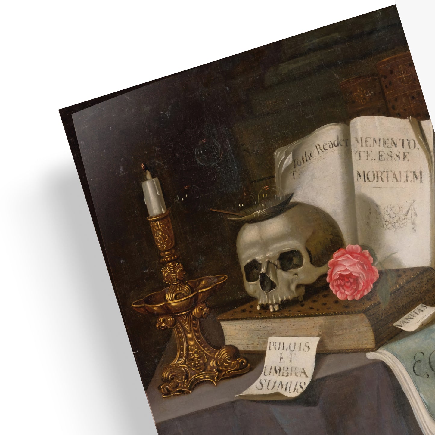 Vanitas Still Life with a Skull | Edward Collier | 17th Century