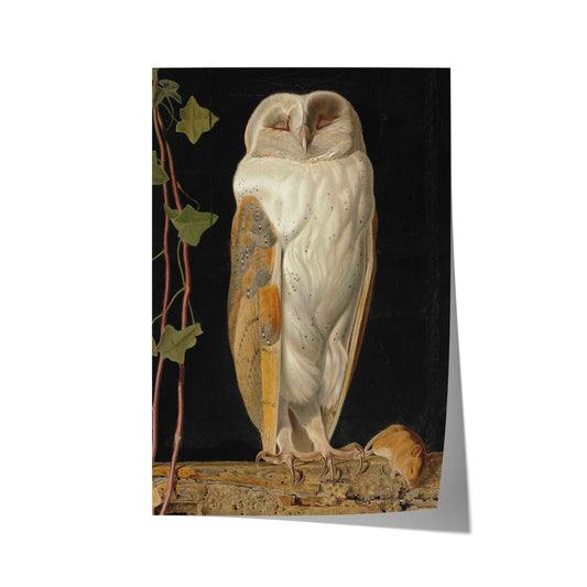 The White Owl | William James Webbe | 1856