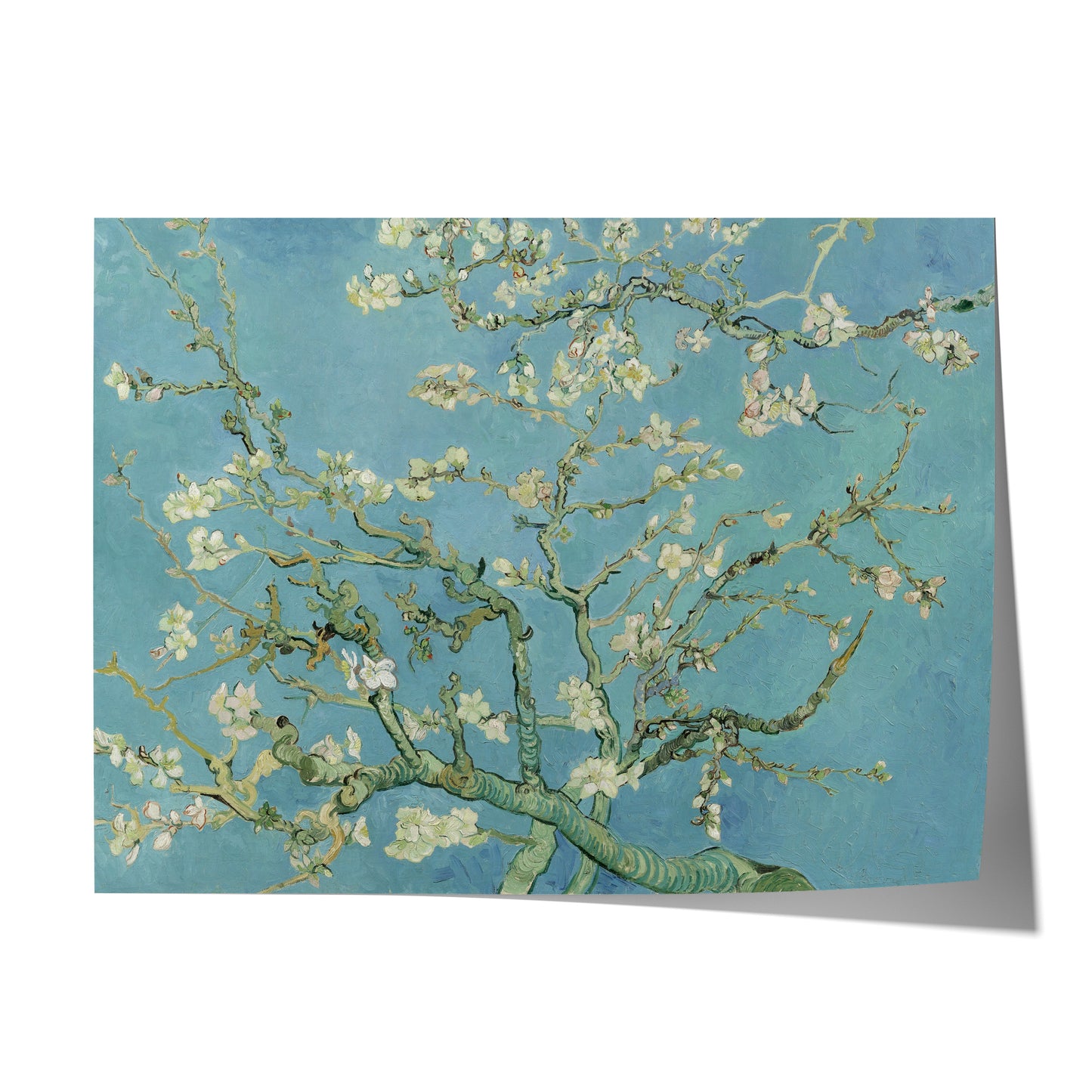 Almond Blossom | Vincent van Gogh | 1890