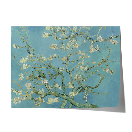 Almond Blossom | Vincent van Gogh | 1890