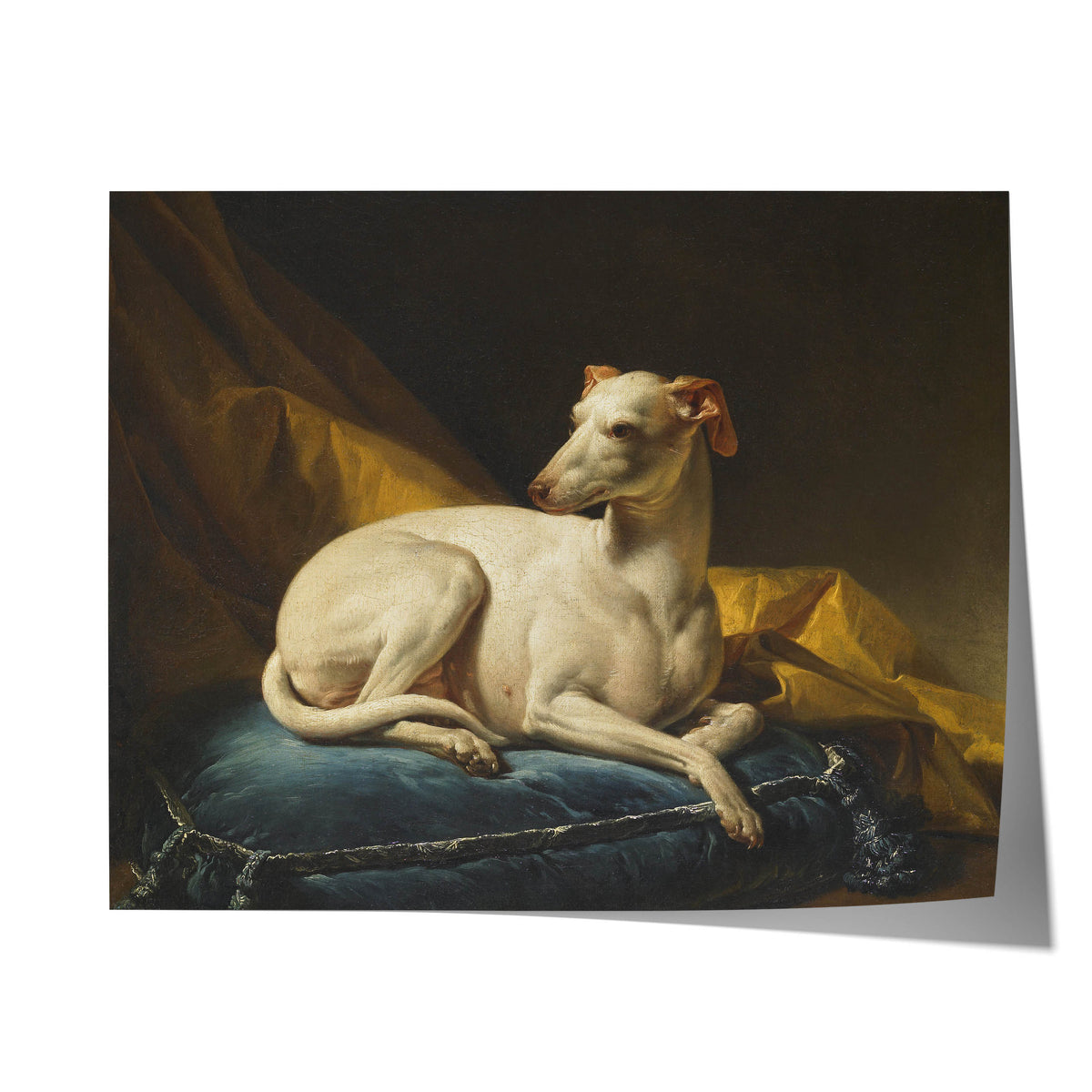 Portrait de Diane, levrette de Bergeret | François-André Vincent | 1774