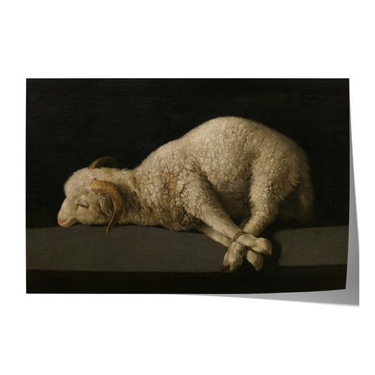 Agnus Dei | Francisco de Zurbarán | 1640