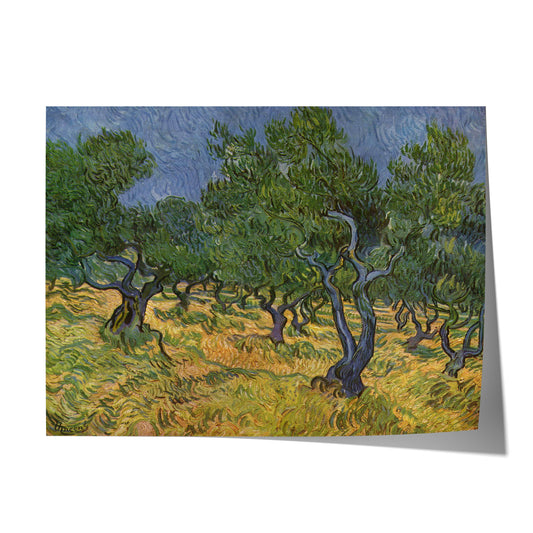 Olive Trees | Vincent van Gogh | 1889