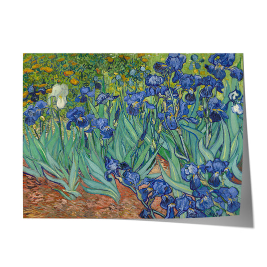 Les Iris | Vincent van Gogh | 1889