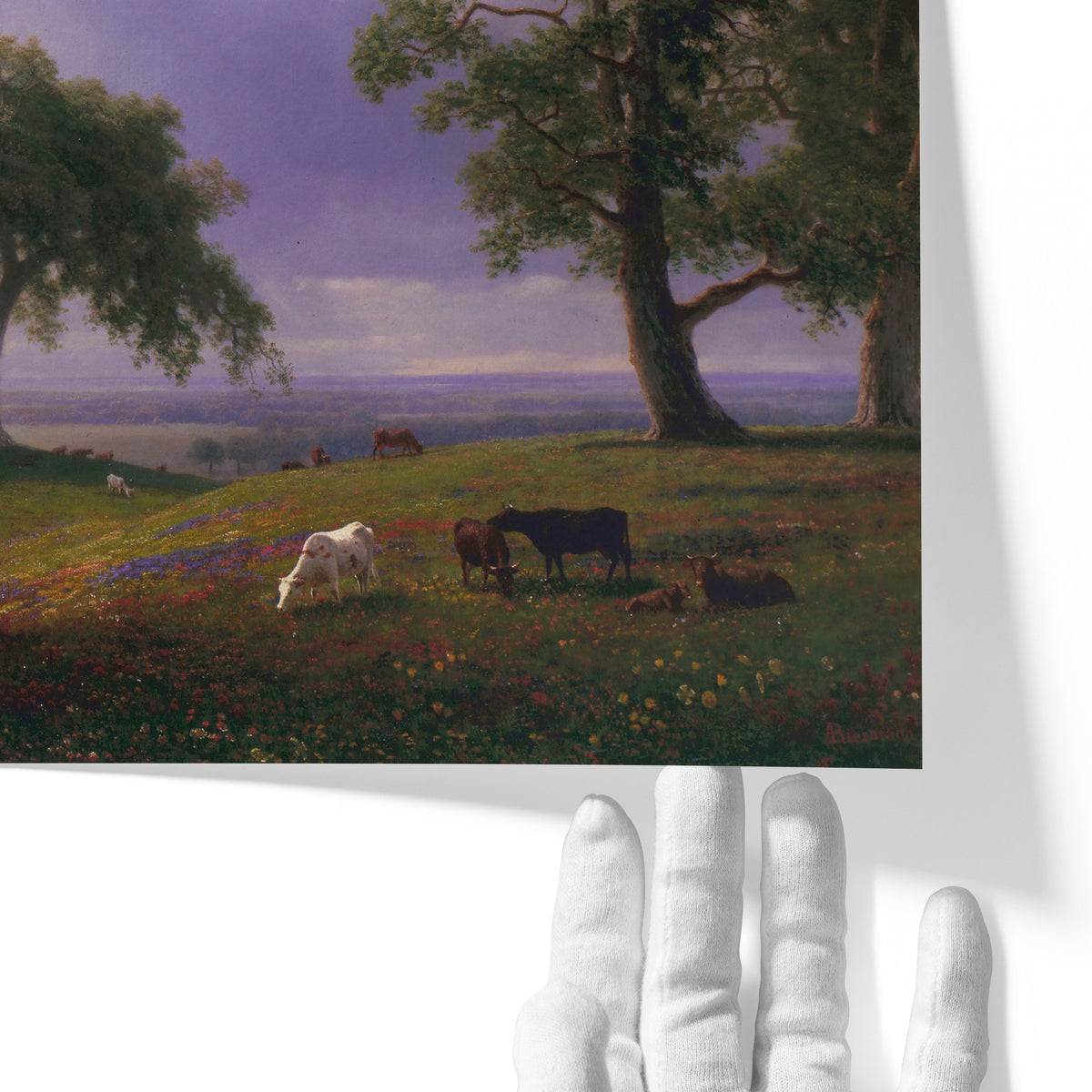 California Spring | Albert Bierstadt | 1875