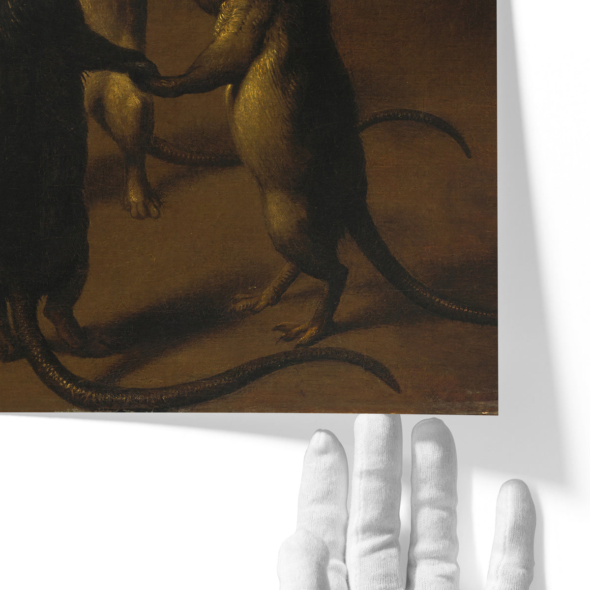 The Dance of the Rats | Ferdinand van Kessel | c. 1690
