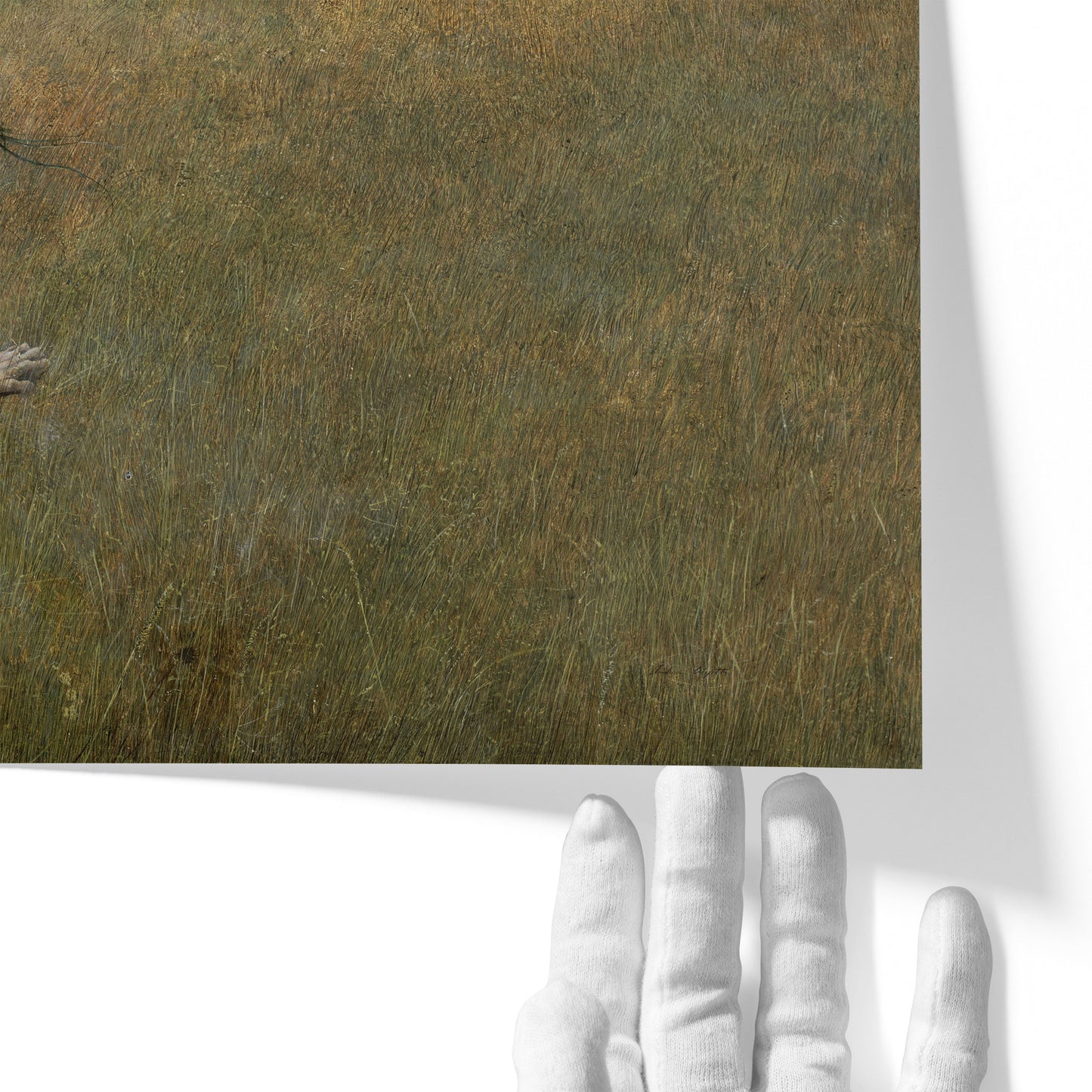 Christina's World | Andrew Wyeth | 1948