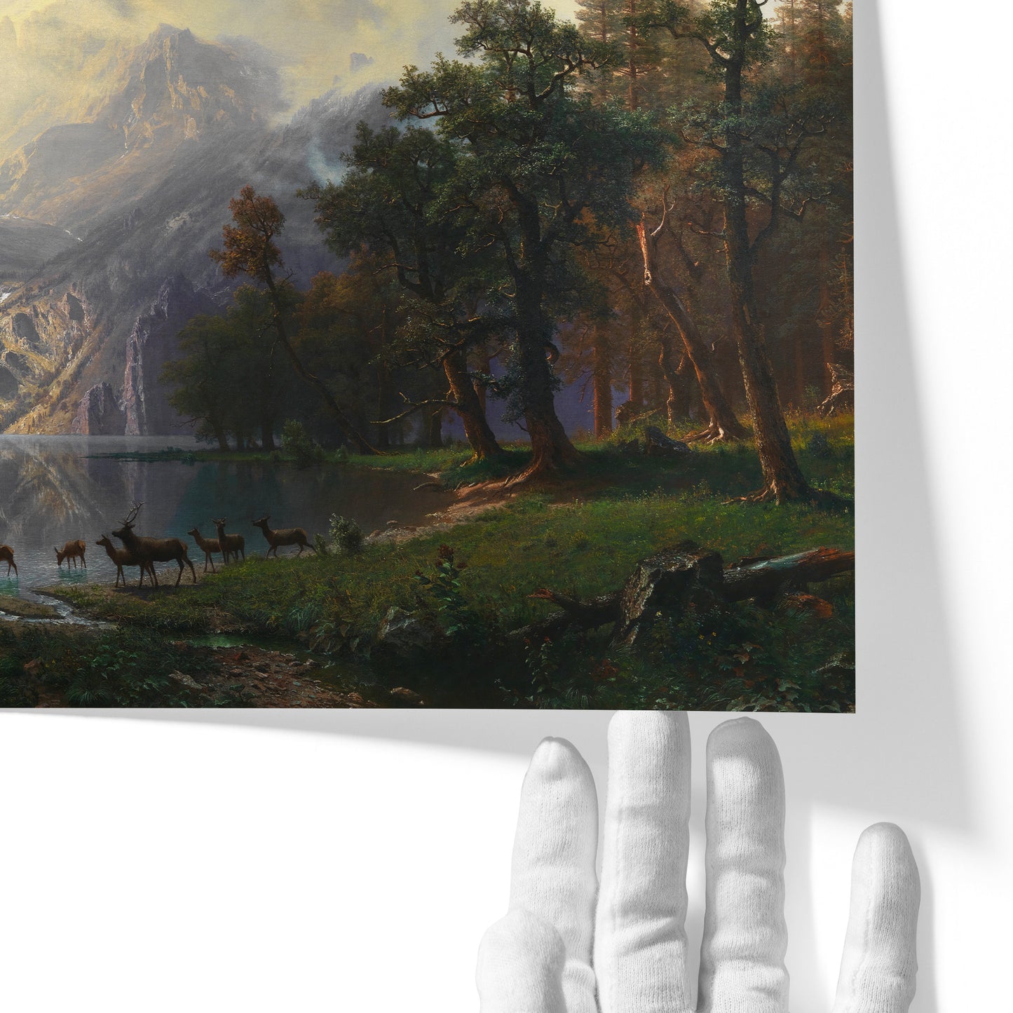 Among the Sierra Nevada, California | Albert Bierstadt | 1868