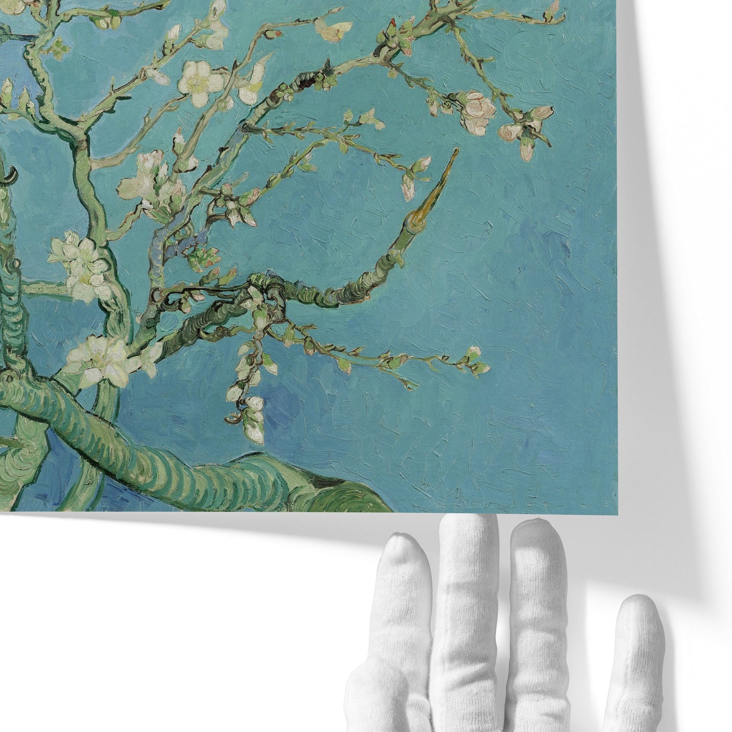 Almond Blossom | Vincent van Gogh | 1890