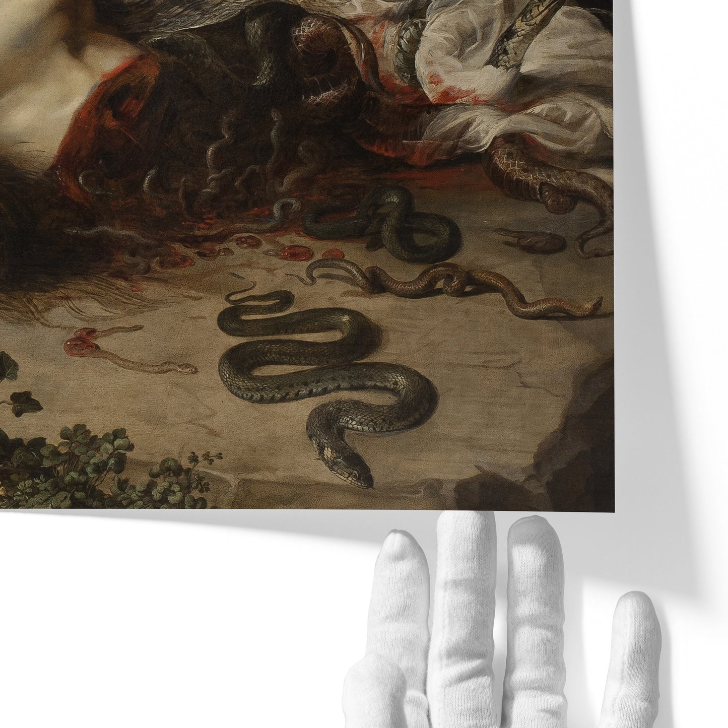 Head of Medusa | Peter Paul Rubens | 1618