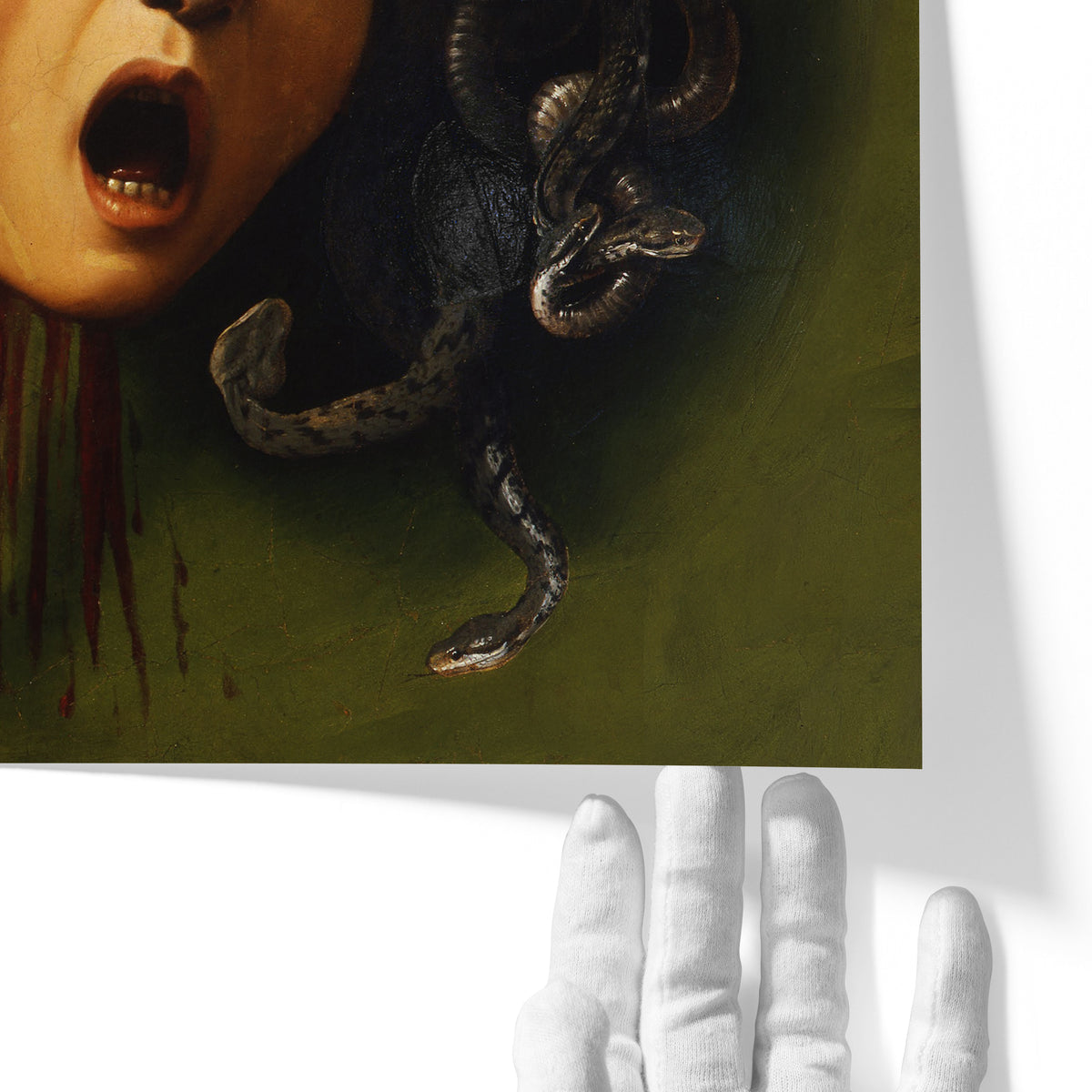 Medusa | Caravaggio | 1597