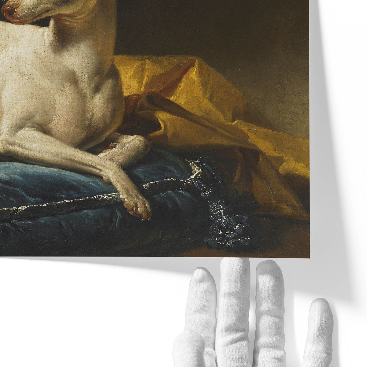 Portrait de Diane, levrette de Bergeret | François-André Vincent | 1774