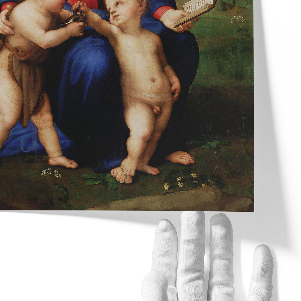 Madonna of the Goldfinch | Raphael | 1505